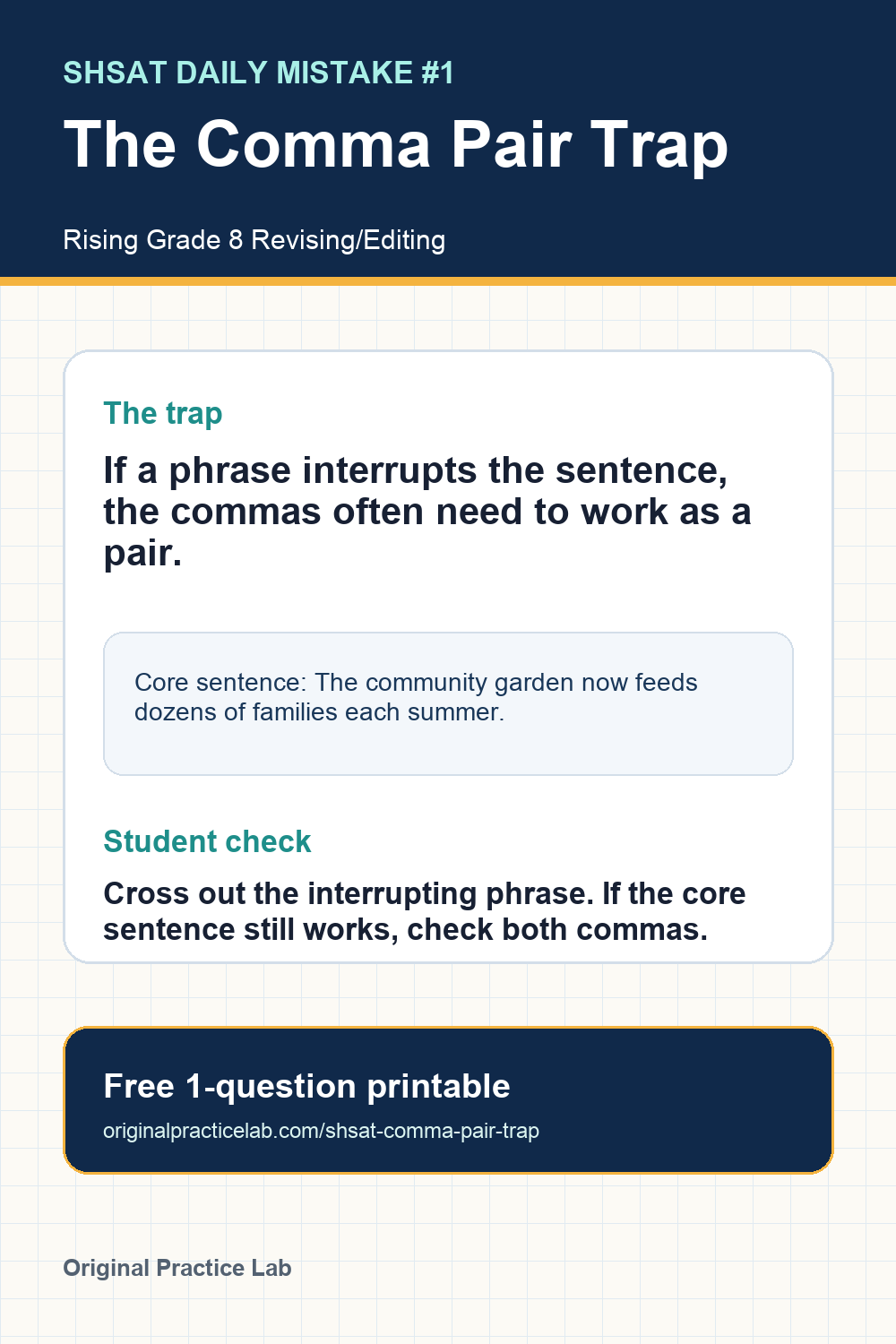 Preview page from Daily Mistake #1: The Comma Pair Trap