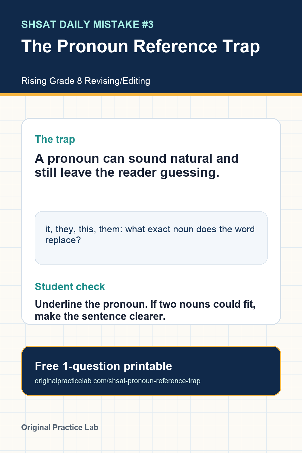 Preview page from Daily Mistake #3: The Pronoun Reference Trap
